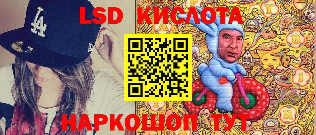 МЕФ Санкт-Петербург